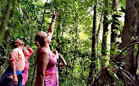 Cecropia Ecolodge