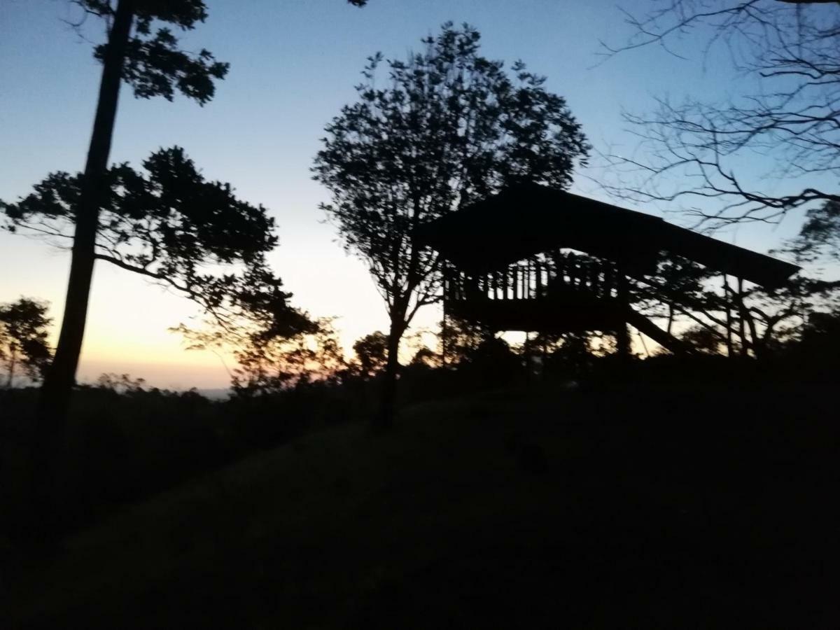 Cecropia Ecolodge La Fortuna Extérieur photo
