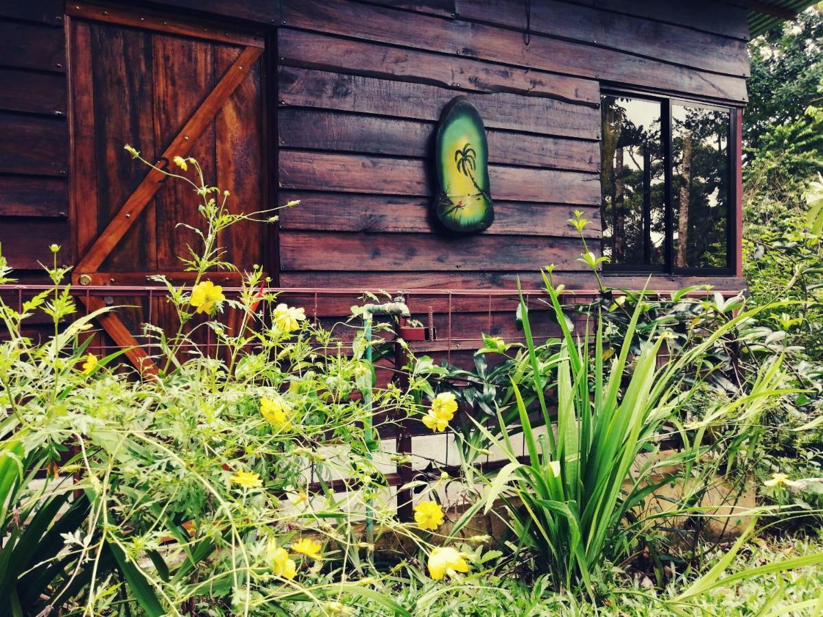 Cecropia Ecolodge La Fortuna Extérieur photo